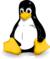 Tux the penguin....